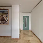 Apartamento Allo Catedral Centro 3